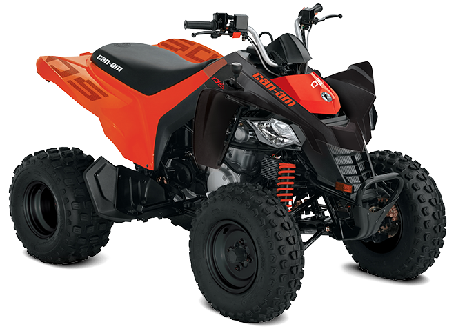 Can-Am DS - Financing starting at 2.99% for 36 months&dagger;&dagger;